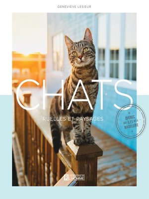 cover image of Chats, ruelles et paysages